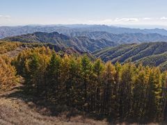 -苏木山森林公园