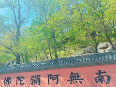 -青岩寺风景区