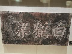 -白鹤梁水下博物馆
