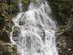 -江西阳明山国家森林公园