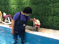 -Goku PET SHOP宠物视觉生活馆(双井店)