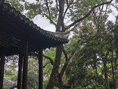 -秋霞圃