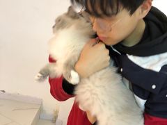 -极木²邸 人与宠物·互动社区