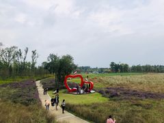 -白鹭湾湿地公园