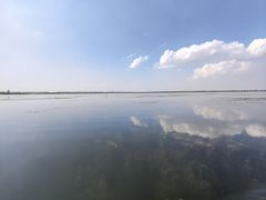 -白洋淀景区