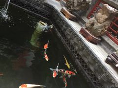 -老张烤羊(王哥庄店)