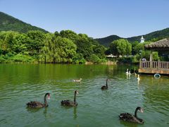 -无锡动物园·太湖欢乐园