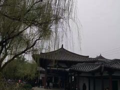 -西安青龙寺遗址景区