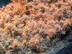 -湖南省地质博物馆