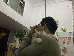 -芭比堂动物医院(广州爱宠下渡路分院)