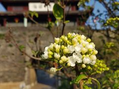 -盘门景区