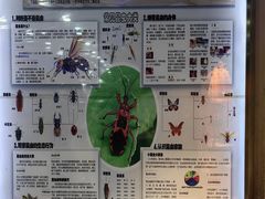 -上海昆虫博物馆