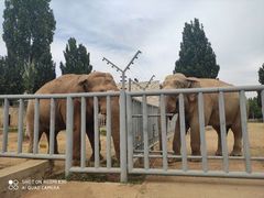 -石家庄市动物园