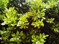-不相离盐帮菜(郎园店)