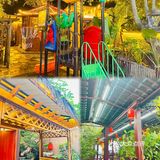 在江门闹市中野生菌Top1，巨无霸糯米鸡饭