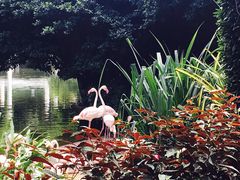 -九龙公园