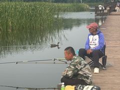 -前关湿地公园