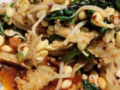 豆芽面筋-海富荣锅贴(万象城店)