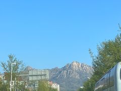 -琴岛顺天馄饨(漳州二路店)