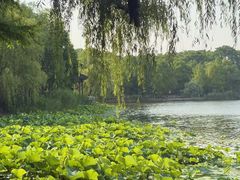 -江南大学(蠡湖校区)