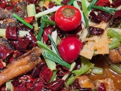 -老板恋上鱼(恒隆广场店)