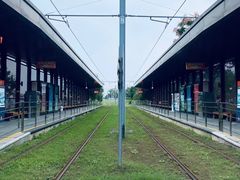 -树山生态村