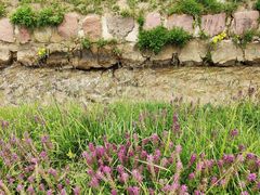 -扁都口生态休闲旅游区