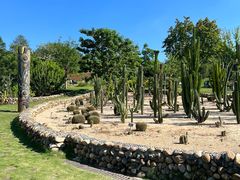 -东莞植物园