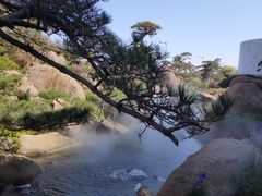 -罗红摄影艺术馆