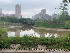 -重庆长寿碧桂园凤悦凤凰酒店