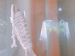 -暖见鱼·自家农场生态鱼