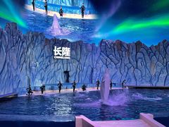 -珠海长隆海洋王国