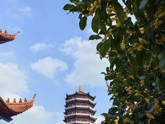 -皇罗禅寺