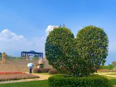 -东莞植物园