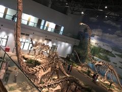 -自贡恐龙博物馆