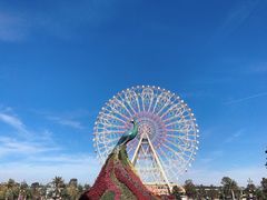 -七彩云南欢乐世界