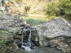 -广州白江湖森林公园