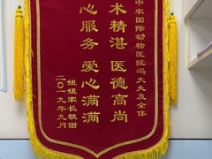 -中农国际动物医院24小时·猫科·骨科·急重症中心