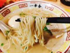 博多屋台拉面-博多舍楽(金利来店)