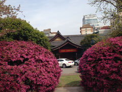 外景-江苏体育宾馆