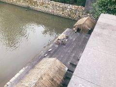 -宁波柏悦酒店·钱湖渔港