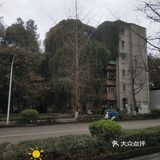 这次乘着机会来这里走走