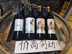 -文成城堡