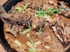 -老板恋上鱼(恒隆广场店)