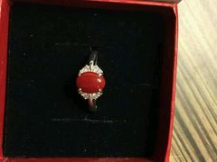 -绮丽珊瑚(台北101旗舰门市店)