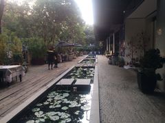 iphone_upload_pic-T館·花园艺术餐厅