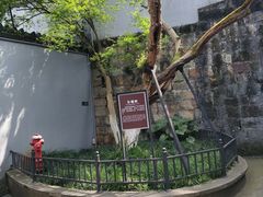 -白公馆