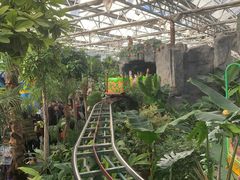 -南宫五洲植物乐园