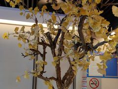 -京味斋·烤鸭·北京菜(安贞店)