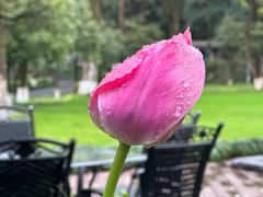 -杭州花家山庄